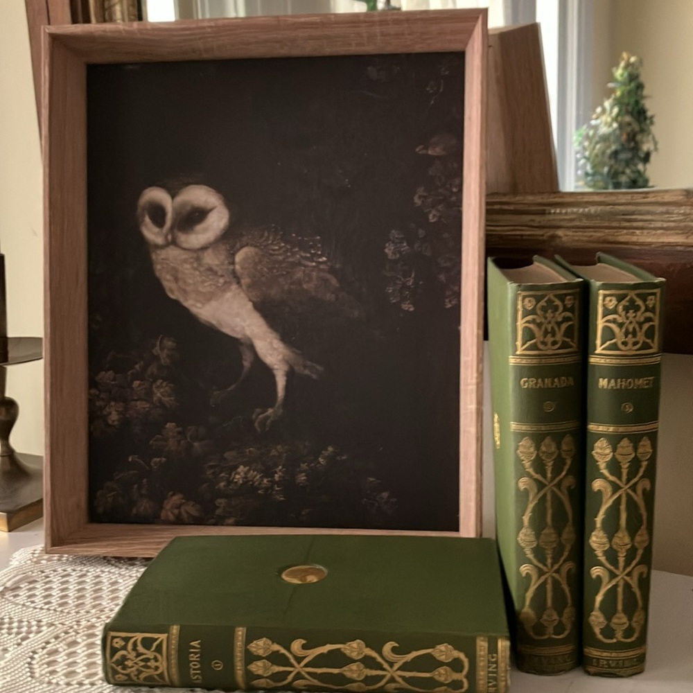NEW - Mystical Owl Framed Art - Picture 2 of 7
